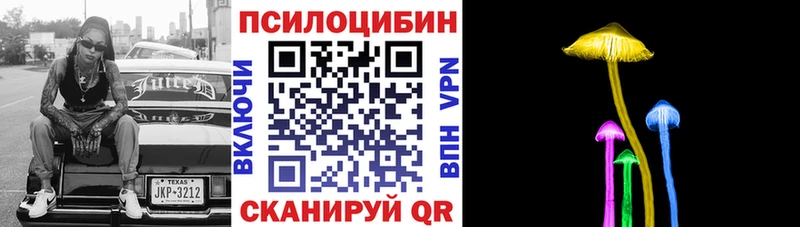 Купить где  Новопавловск  Псилоцибиновые грибы мицелий 